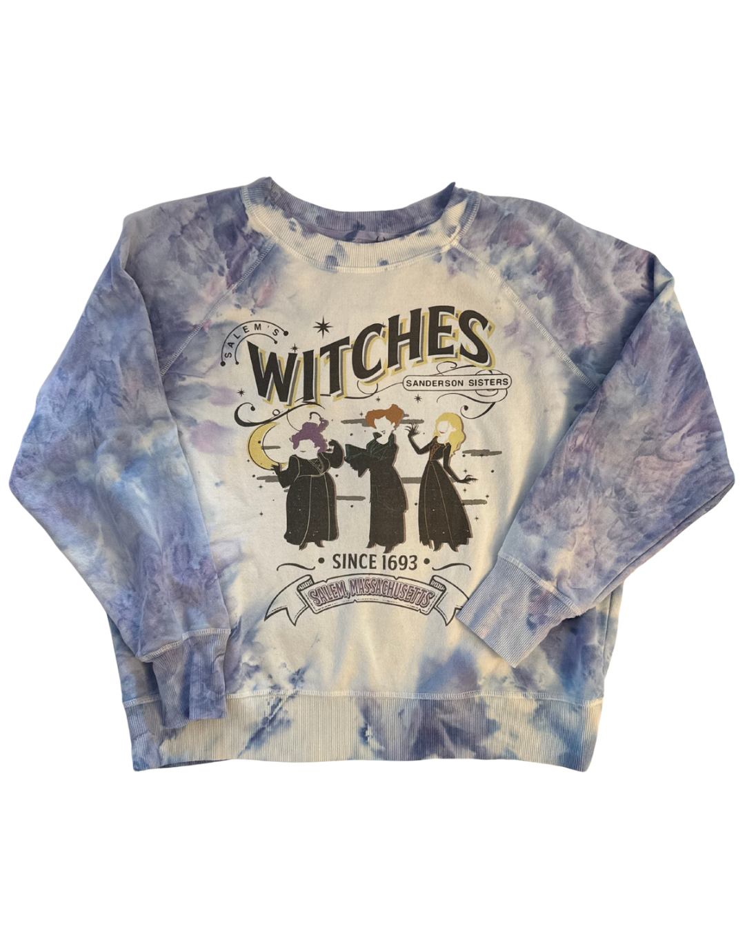 Upcycled Large Hocus Pocus Sweatshirt